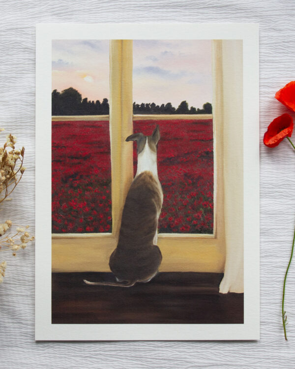 A Window to the Poppyfield