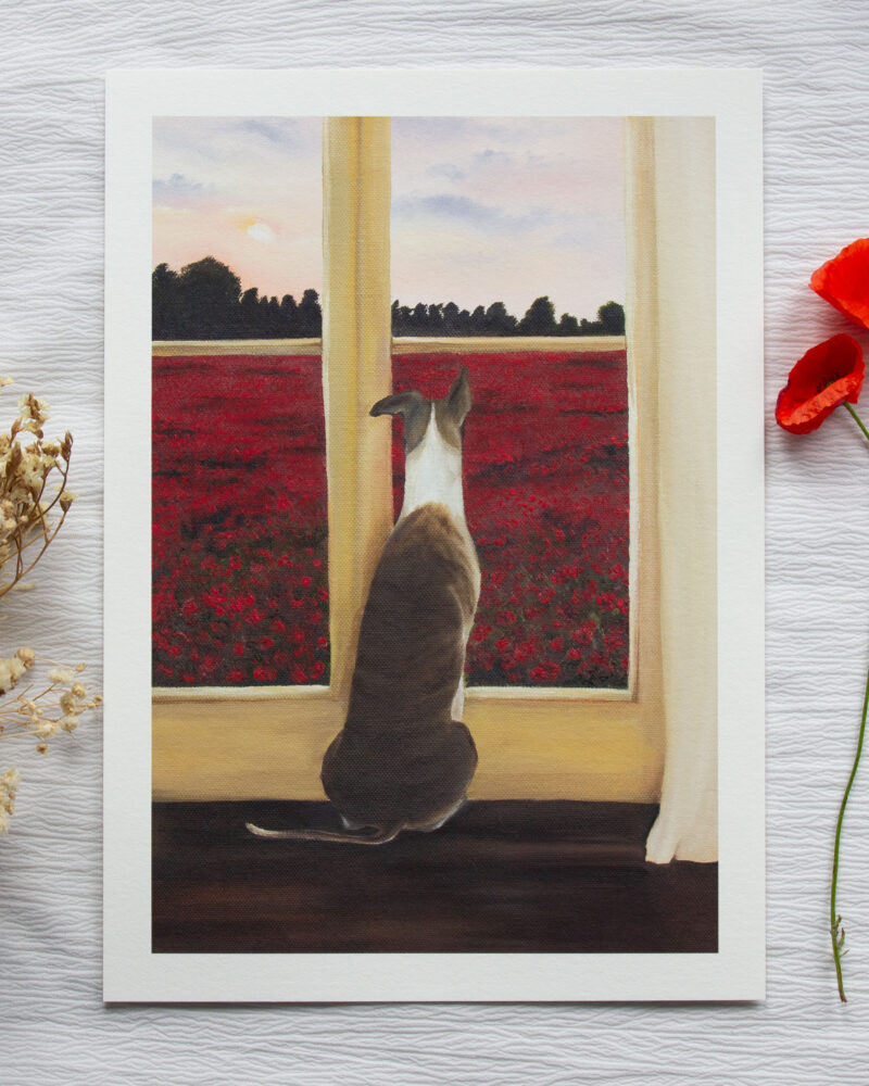 A Window to the Poppyfield